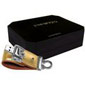 Prestigio Leather Flash 4Gb Gold (PLDF4096SIGOLDT3)