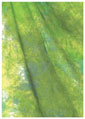 WEIFENG Фон тканевый WOB2001 2.6x3m W-089