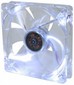  Nexus D12SL-12WL