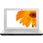 Ноутбук Lenovo S100-N435F-2 (59-312011) Flower Violet