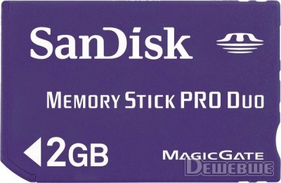 Фото SanDisk MS Pro Duo 2 Gb
