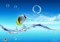 EVO "BLUE FISH" (MPE- 05FH)