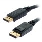  Display Port to Display Port (Male to Male)